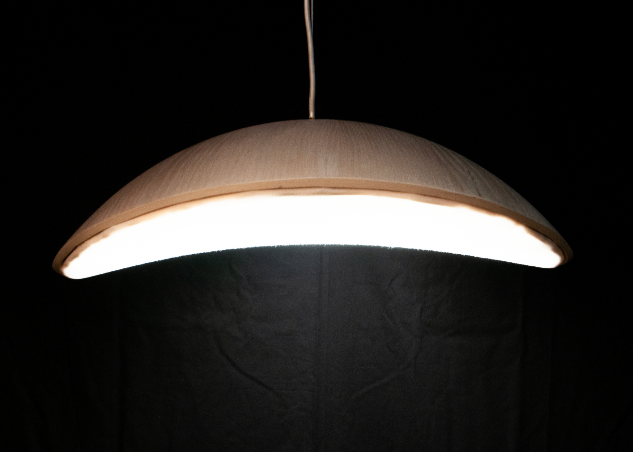 KOKON_Seitsicht_Dannenberg